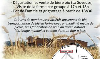 Le Croissant Fertile invitation